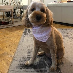 Meet your Posher, Marija